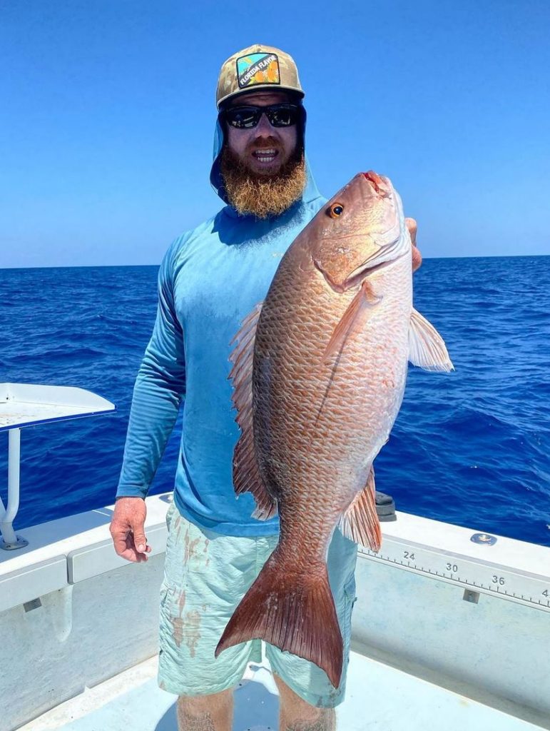 Mangrove Snapper