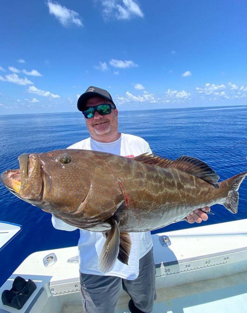 Black Grouper