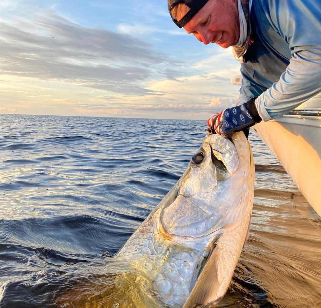 tarpon 7