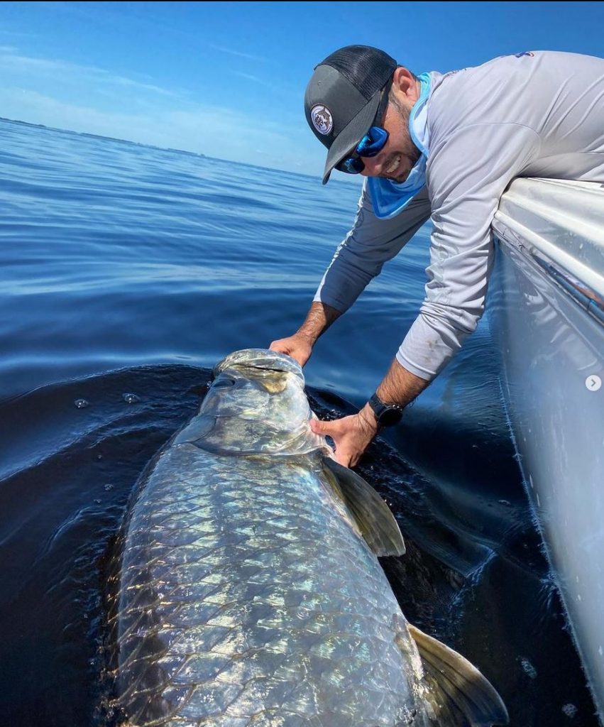 tarpon 8